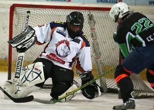 Andicam hielt den Sieg mehrmals fest!